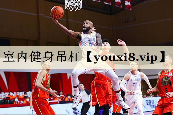 室內健身吊杠
