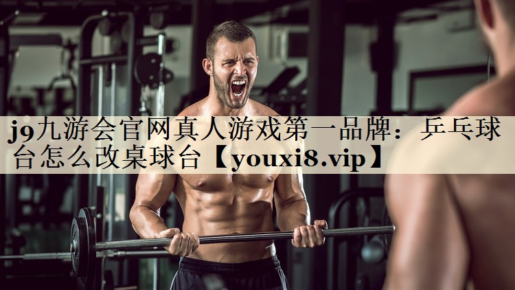 乒乓球臺怎么改桌球臺
