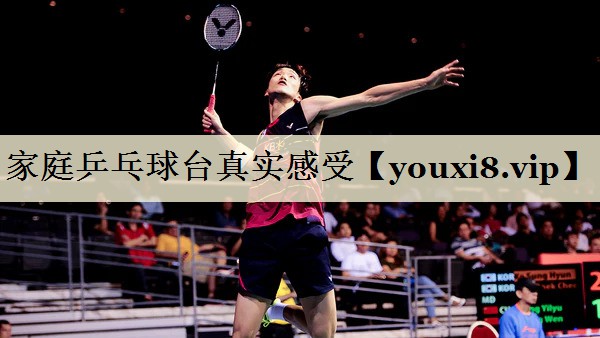 家庭乒乓球臺真實感受