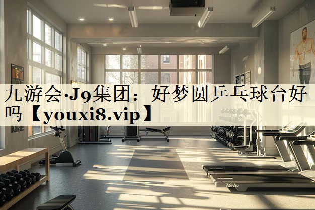 好夢圓乒乓球臺好嗎